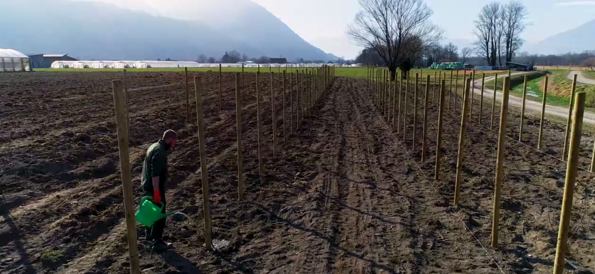 per fare un albero pirmin murer e caritas ticino|sostenibilità ambientale pirmin murer|piantumazione alberi pirmin murer sant'antonino|